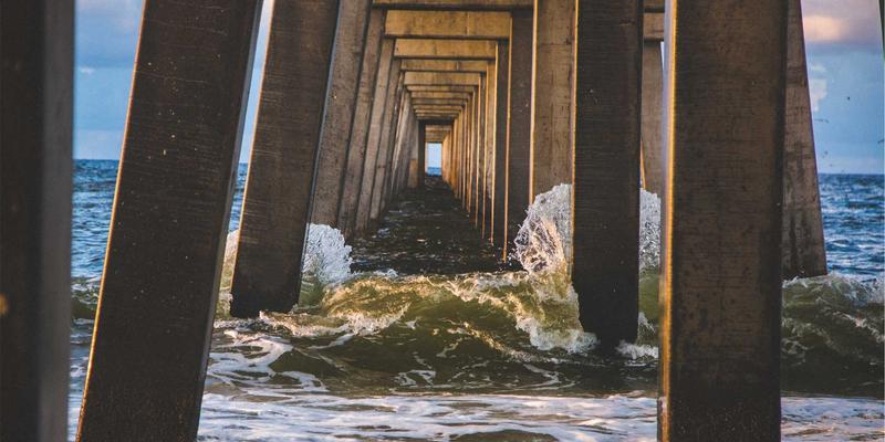 NYZHE100：资讯聚合与媒体服务新范式，如何重塑新闻消费体验