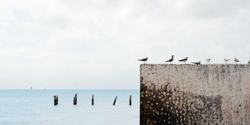 NYZHE12：下一代智能新闻平台的崛起与资讯传播革命