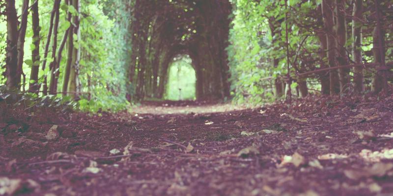 NYZHE24：重新定义媒体服务与资讯传播的新范式