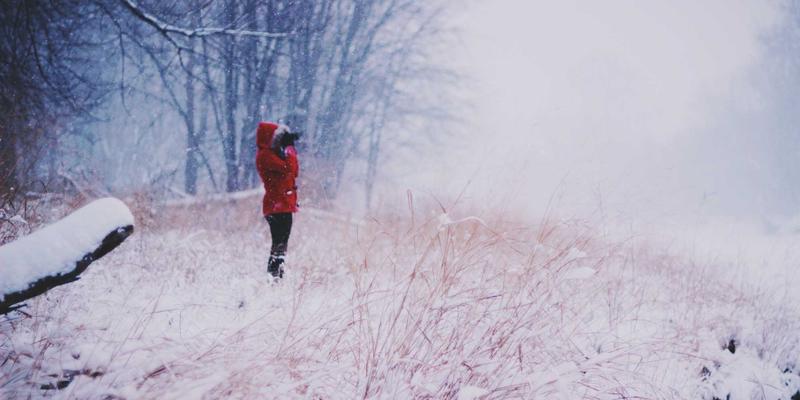 NYZHE2：下一代资讯聚合媒体的核心逻辑与未来图景