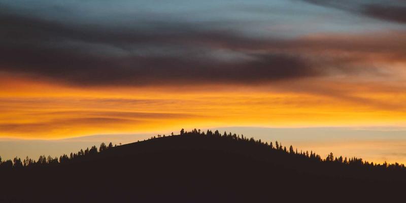 NYZHE31：解码下一代资讯平台的媒体生态变革