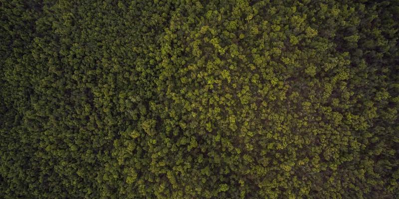 NYZHE33：下一代智能新闻平台的媒体革命