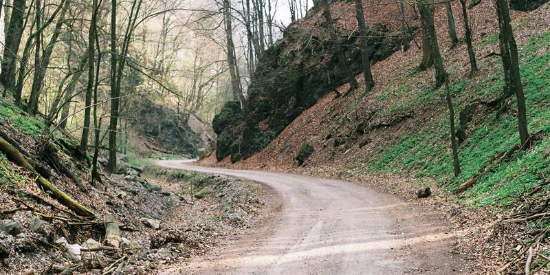 NYZHE43：下一代资讯聚合平台的创新范式与未来展望