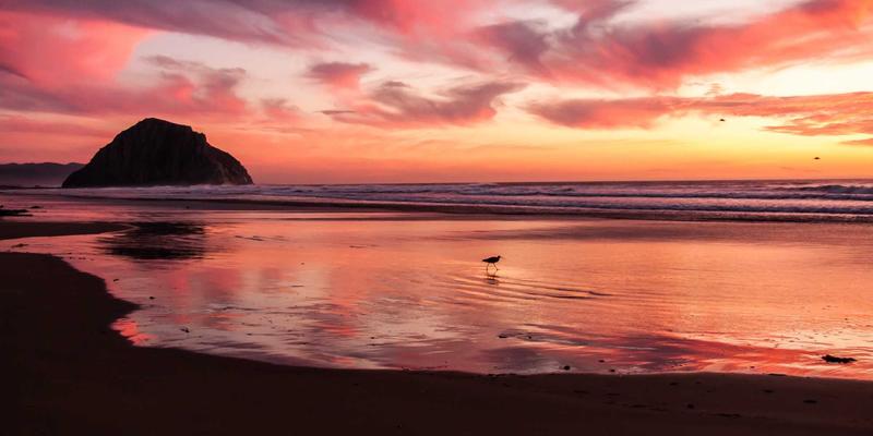 NYZHE52：重新定义资讯获取，新一代智能新闻平台的崛起