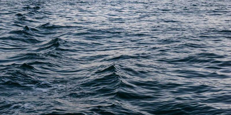 NYZHE55：下一代智能新闻聚合平台的变革与未来