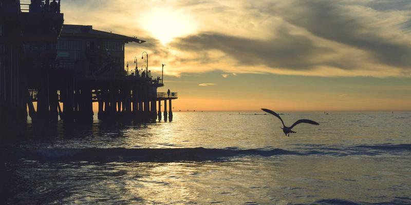 NYZHE85：解码新一代媒体服务如何重塑资讯与新闻生态