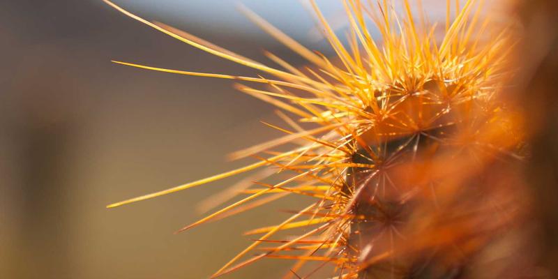 NYZHE87：下一代智能新闻平台的崛起与媒体服务新范式