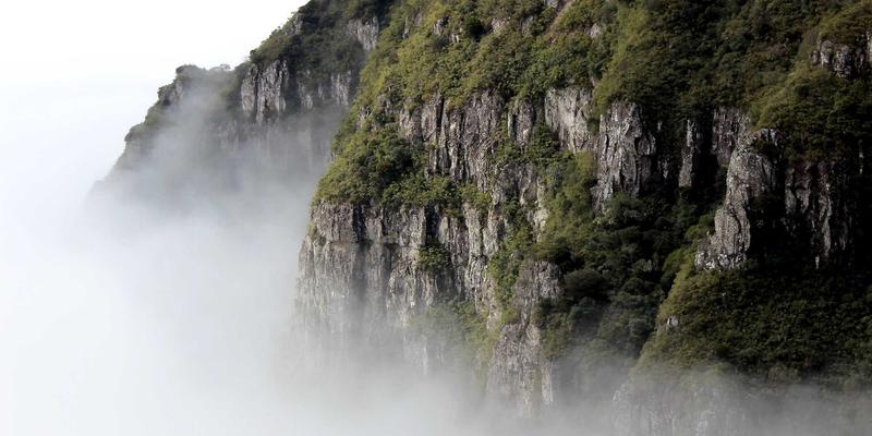 NYZHE平台如何重塑新闻体验：深度解析精准推送算法与优化策略