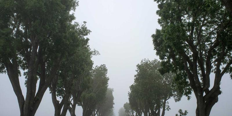 NYZHE开放API生态：连接开发者与媒体服务创新的桥梁