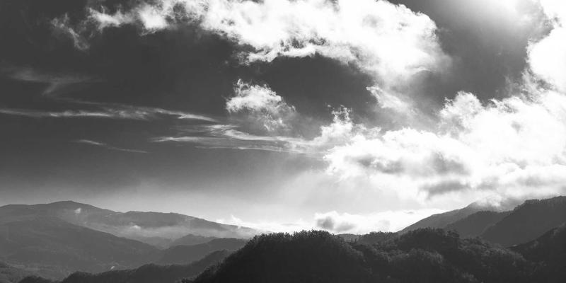 NYZHE推荐：重新定义媒体资讯聚合的智能新范式