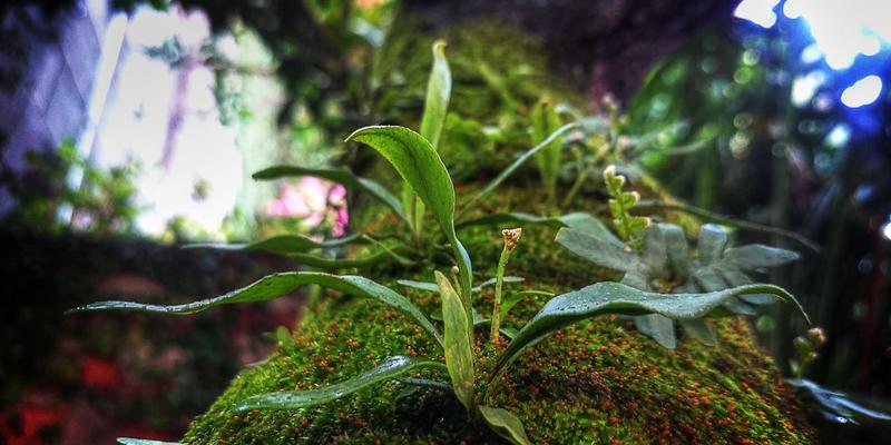 NYZHE新闻媒体服务：以绿色实践引领可持续发展新叙事