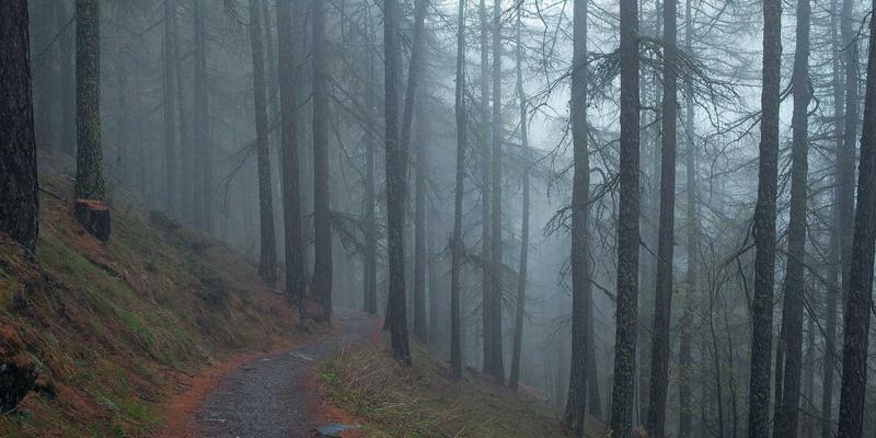 NYZHE最佳实践：构建高效新闻聚合平台的三大核心策略